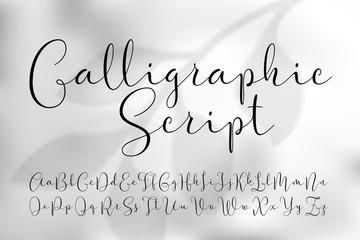 Fototapete - Vector calligraphic script font. Classic style handwritten typeface. On light grey foliage background