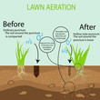 Gardening of lawns, landscape design services. Vector illustration. Green lawn on the ground in the context of the benefits of aeration of a hollow tube tool compared to the conventional method.