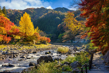 Wall Mural - korankei valley in autumn the leaves turn red is very beautiful. there are streams and red bridge ta