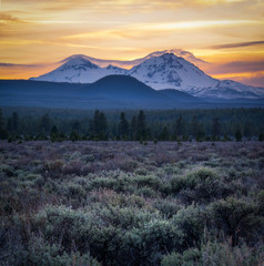 Wall Mural - Desert and Mountains - Bend Oregon