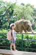 © makistock - Children feed Asian elephants in tropical safari park during summer vacation. Kids watch animals