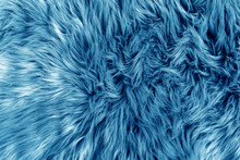 Blue Fur For Background Or Texture. 2020 Classic Blue Pantone. Fuzzy Blue Fur Plaid. Shaggy Blanket Background. Fluffy Fake Textile Fur. Flat Lay, Top View, Copy Space