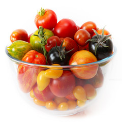  Bunte, exotische,  historische Tomaten Vielfalt, von schwarz bis gestreift, süß und saftig in einer Schale vor weißem Hintergrund presentiert.