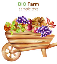 Bio Farm Composition With Wooden Wheelbarrow Filled With Artichoke, Pumpkins, Apple, Grapes And Leaves