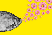 Concept Fish And Donuts On A Colored Background. Modern Art Collage.
