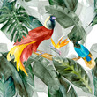 Tropical birds on the background exotic green flower hibiscus and monstera palm leaves, banana leaf. Print summer floral plant. Nature animals wallpaper. Seamless watercolor jungle pattern textile.