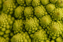 Close-up Of The Pertuvities Of A Broccoli Of The Romanescu Variety.