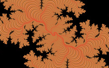 Orange Black Seamless Floral Pattern