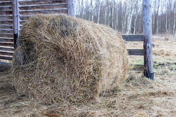 rolled up straw in a bale 2