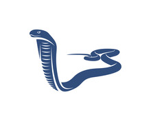 King Cobra Snake Logo Design Vector, Animal Graphic, Snake Design Template Illustration
