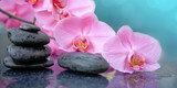 Fototapeta Tulipany - Pink orchid flower and spa stones with water drops isolated .