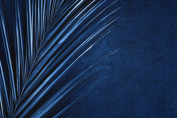 closeup of metallic painted palm leaf on abstract dark blue textured background. tropical conceptual