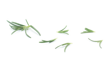 rosemary isolated on white background