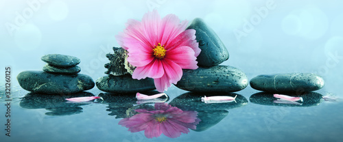 Pink orchid flower and spa stones with water drops isolated . © Swetlana Wall