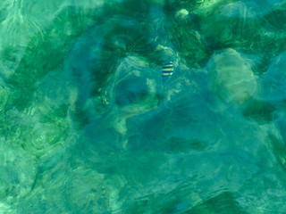 transparent green sea water background