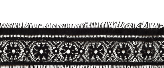 Wall Mural - Black lace border