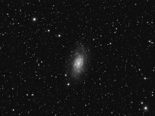 Wall Mural - deep sky object, ngc 2403 intermediate spiral galaxy in the constellation camelopardalis against nig