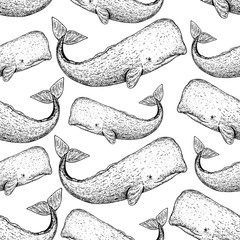 Wall Mural - Sperm whale seamless pattern. Hand drawn sketch style. Cachalot vector illustration.