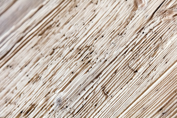  Old wood texture