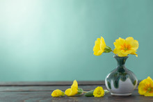 Yellow Primroses In Vase On Wooden Table