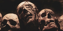 Skulls. Group Of Mummified Skulls Inside An Ancient Crypt