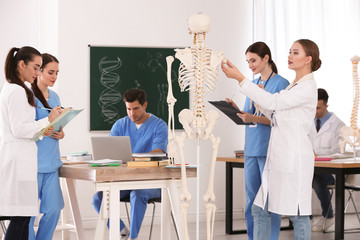 Medical students studying human skeleton anatomy in classroom