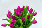 Fototapeta Kwiaty - bouquet of tulips