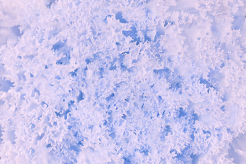 Poster - abstract rough texture background 