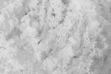 Poster - abstract rough texture background 