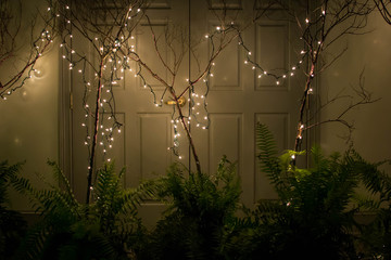 Naked trees with white lights