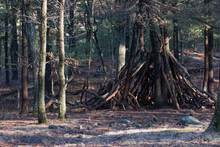 Teepee Made Of Big Branches In The Blue Hills Reservation In Quincy, Massachusetts. Eerie Place With History.
