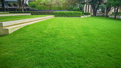 smooth and fresh green grass lawn as a carpet in garden backyard, good care maintenance landscapes d