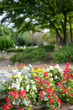 © 竹澤宏 - 田無市民公園（東京都西東京市）