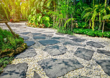 Free Form Pattern Of Black Stone Walkway And White Gravel In Garden Of Park, Greenery Fern Epiphyte Topical Plant, Shrub And Bush Under Shading Of The Trees, Good Care Maintenance Landscaping