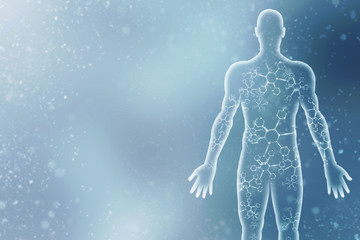 2d illustration human male muscle body