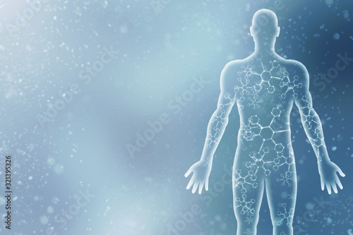 Cuadros en Lienzo 2d illustration Human Male Muscle Body