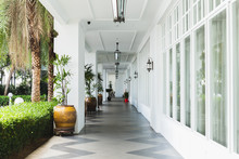 Beautiful Interior Of White Corridors With Lamps And Green Plants.
