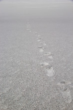 Footprints On The Sand Of A White Dune, Argentina
