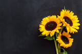 Bouquet of sunflowers on black background top-down copy space