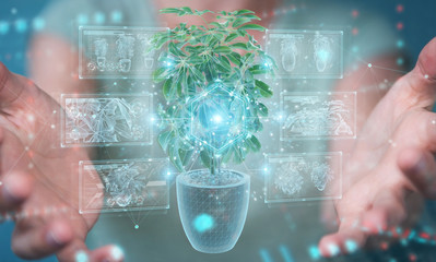 Aufkleber - Woman holding and touching holographic projection of a plant with digital analysis 3D rendering