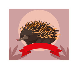 Sticker - greeting card with australian echidna