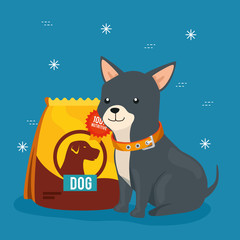 Poster - cute little dog with animal bag food