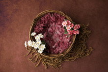 Newborn Photography Digital Background Prop. Wicker Basket With Pink  Fur And Flowers On A Painted Canvas.