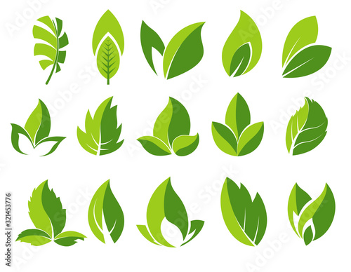 Fotomural Green leaf and leaves abstract icons set