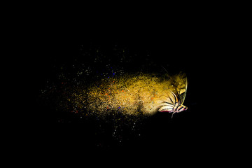 Abstract nature. Dispersion, splatter effect. Black background.