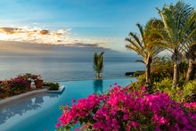 A Beautiful Tropical Garden With Flowers And Palm Trees By An Infinity Pool, Bougainvillea Pink Blooms. Fresh Dominican Flowers, Ocean View, With Copy Space