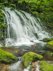  mototakifukuryusui falls　元滝伏流水