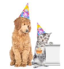 Poster - Dog and cat wearing birthday`s hats.  Kitten holds cupcake with candle and empty list. isolated on white background
