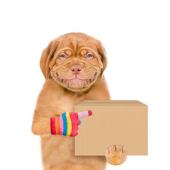Aufkleber - Smiling puppy points on big box. Delivery concept. Isolated on white background