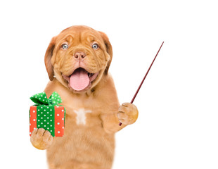 Poster - Funny puppy holds gift box and pointing away on empty space. isolated on white background